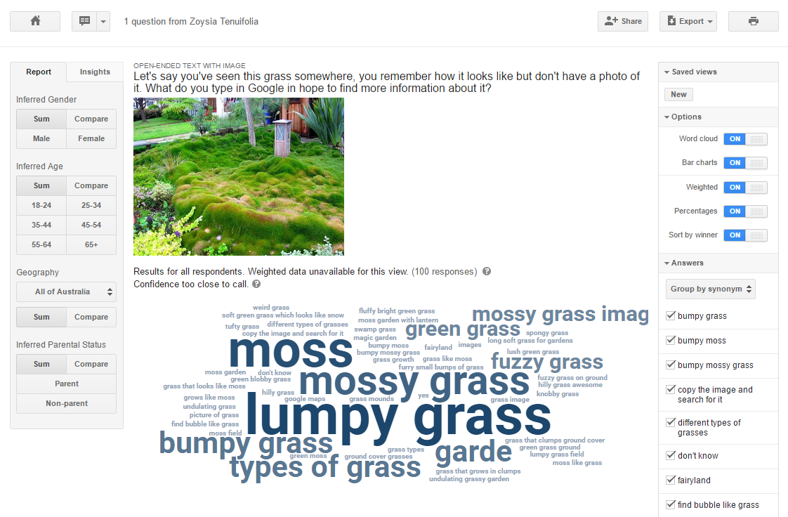 A Google Surveys report showing the grass photo, the open-ended question, and a word cloud of 100 answers where lumpy grass, mossy grass, bumpy grass and types of grass are the largest terms.